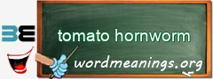 WordMeaning blackboard for tomato hornworm